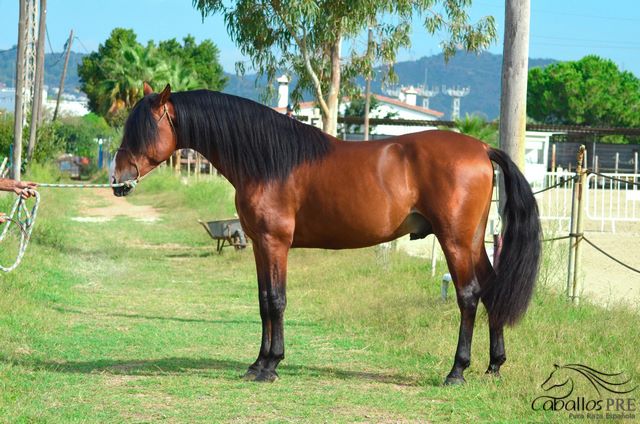 Corinto